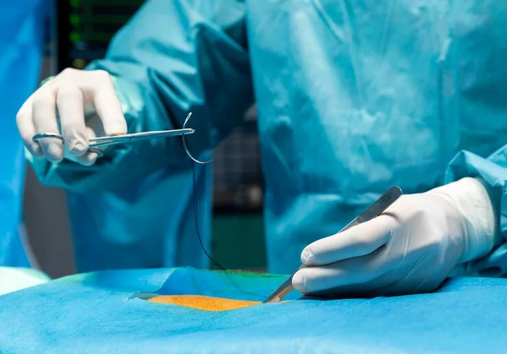 cirurgia de alta complexidade em cães