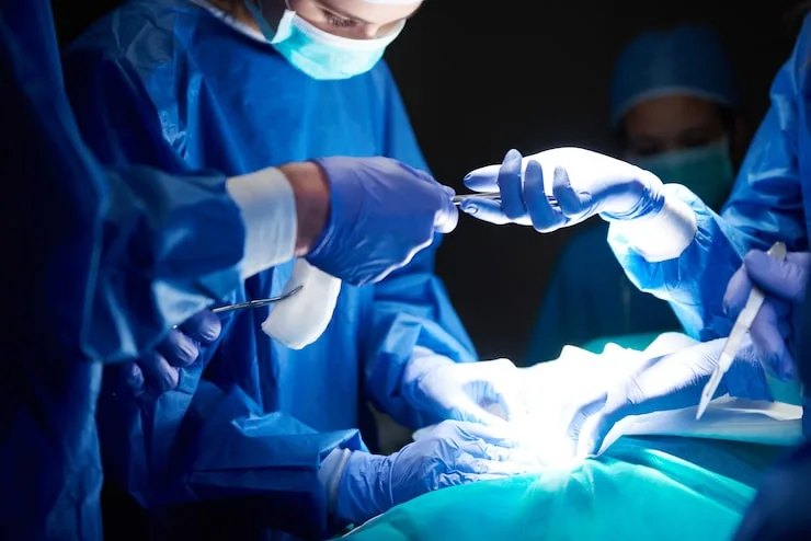 cirurgia em cães e gatos