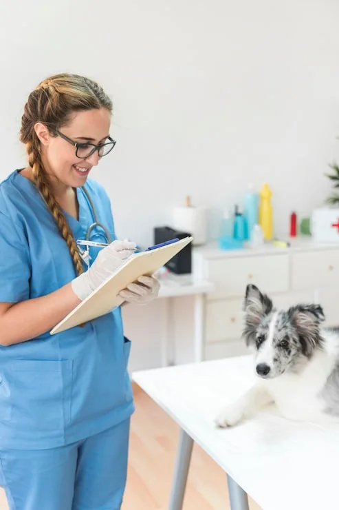 consulta para pets