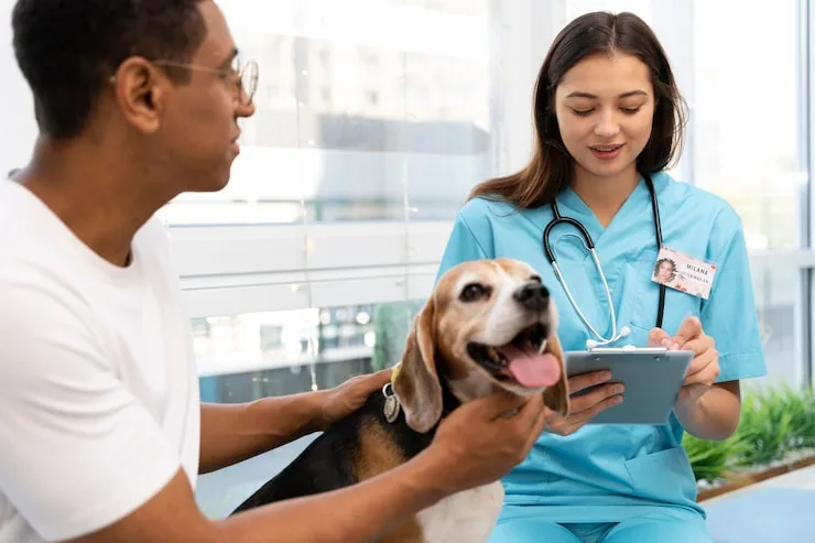 consulta veterinária em Belo Horizonte