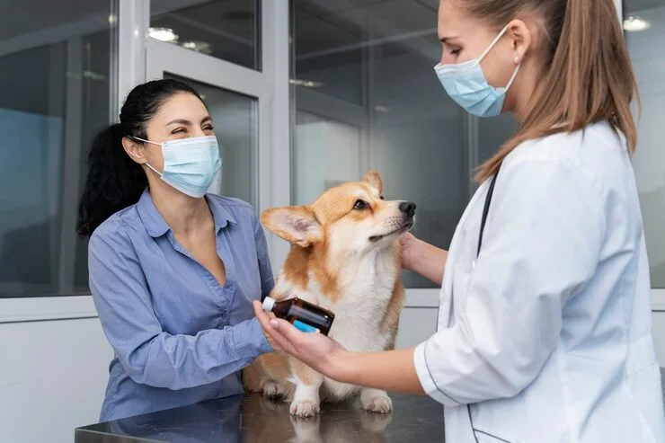 oftalmologista veterinário em Minas Gerais