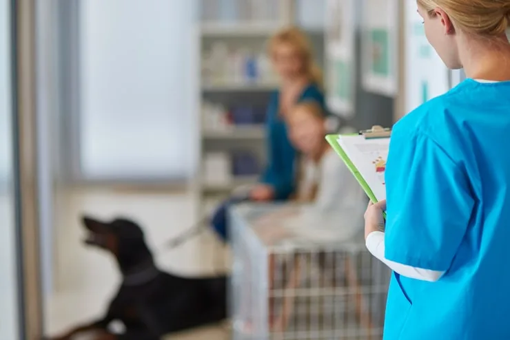 pneumologista veterinário